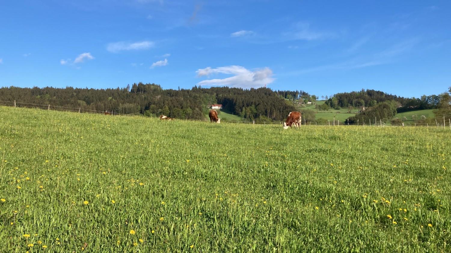 eine Gruppe von Menschen, die nebeneinander stehen